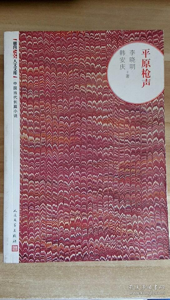 朝内166人文文库·中国当代长篇小说:平原枪声