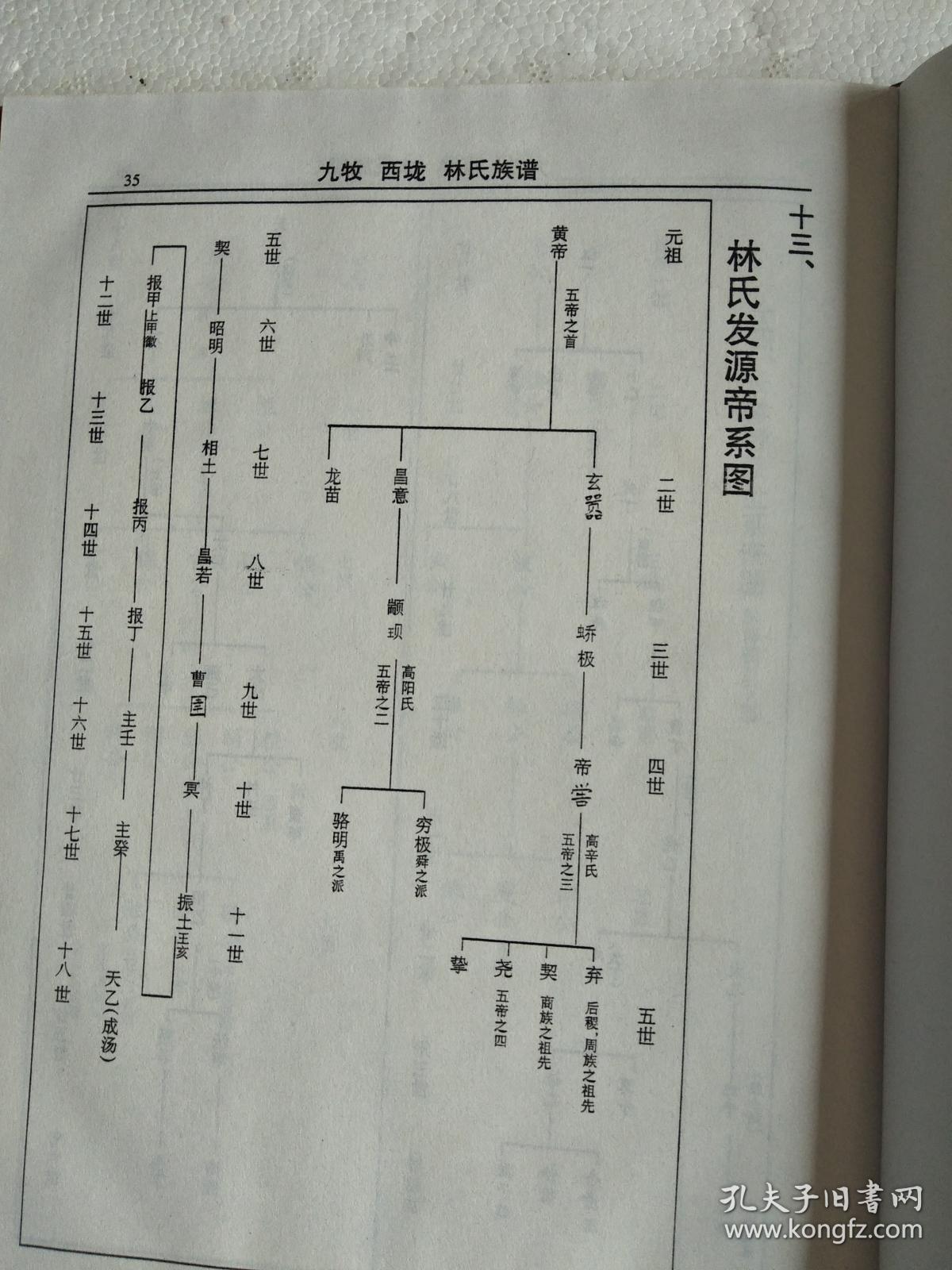 提供资料信息服务林氏族谱九牧西垅兆荣公支16开145页1998年版成品
