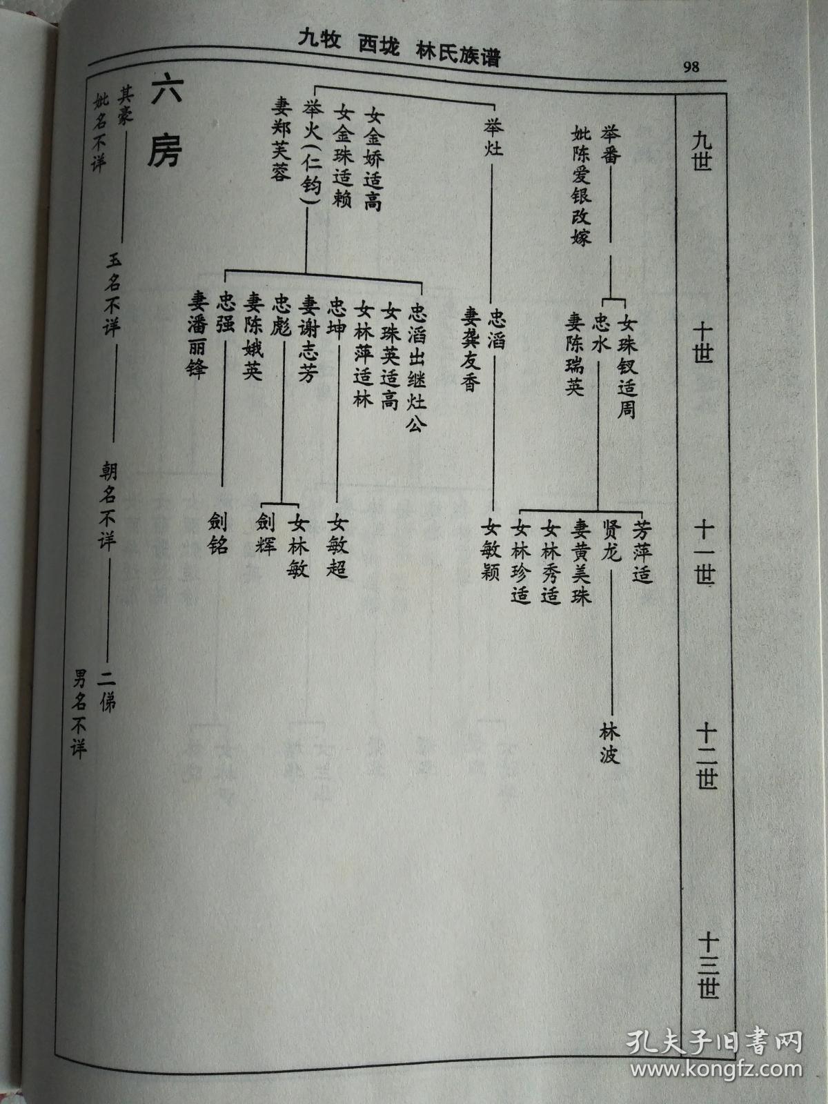 提供资料信息服务林氏族谱九牧西垅兆荣公支16开145页1998年版成品