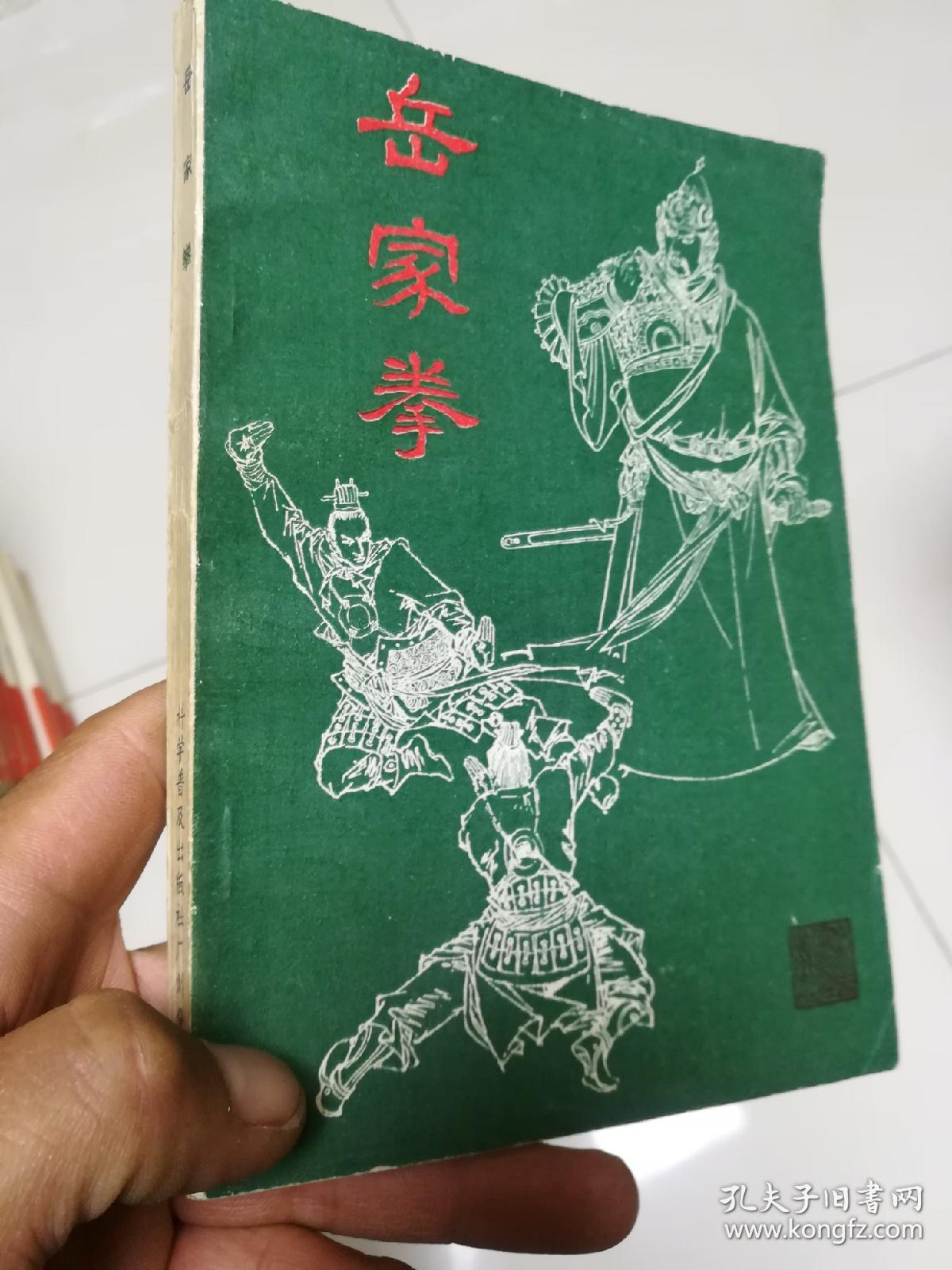 岳家拳.