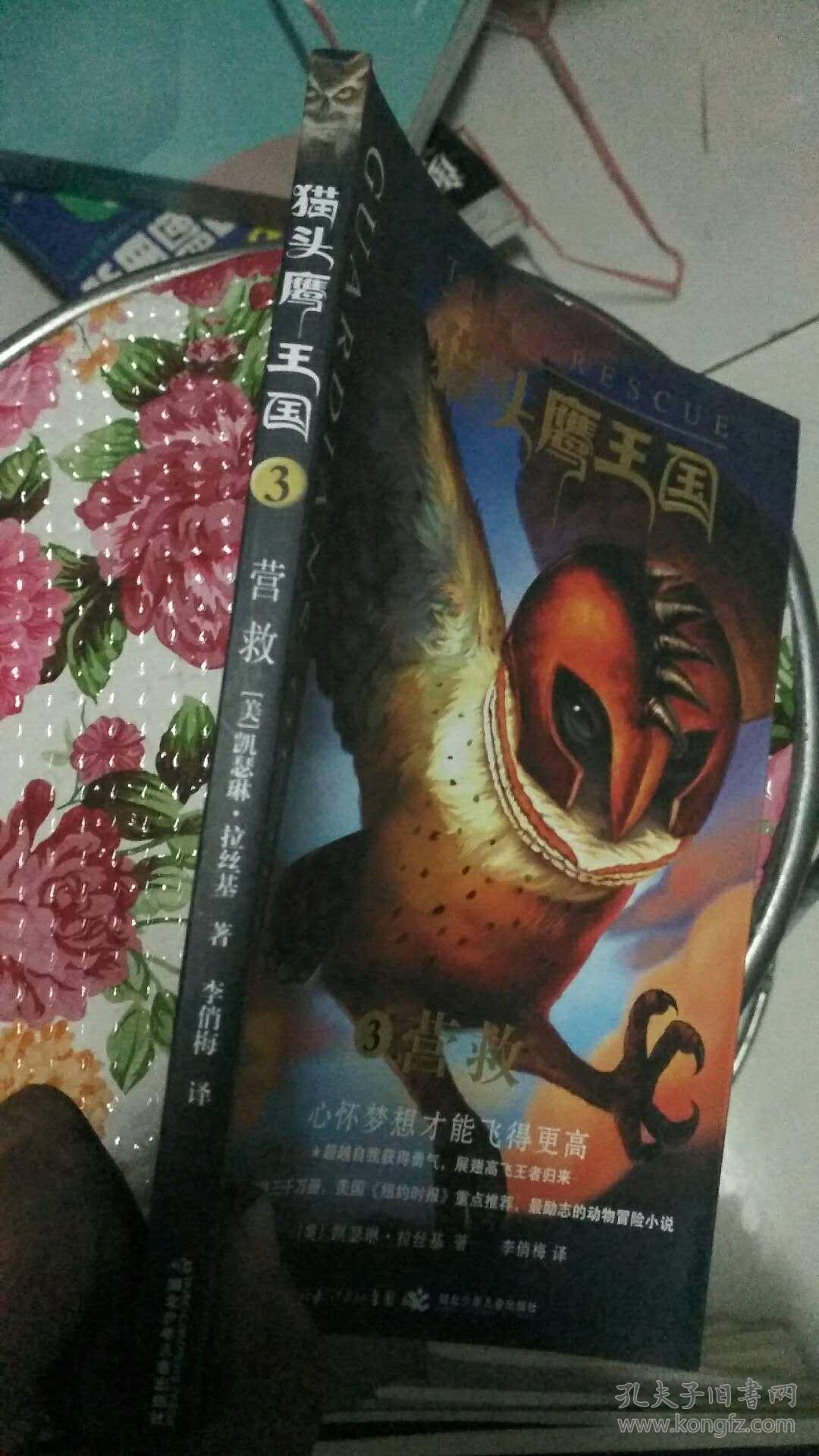 猫头鹰王国3营救