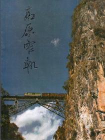 铜版纸彩印画册：《高原窄轨》 【与“滇越铁路”有关，刊有吴家林拍摄的26张照片。高原米轨的纪实摄影。品好如图】