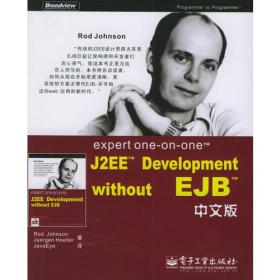 expert one-on-one J2EE Development without EJB 中文版