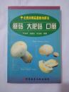 蘑菇 大肥菇  口蘑/名贵珍稀菇菌栽培新法