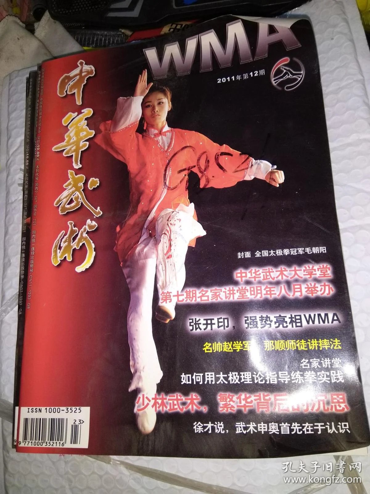 中华武术：传承与创新的交响曲