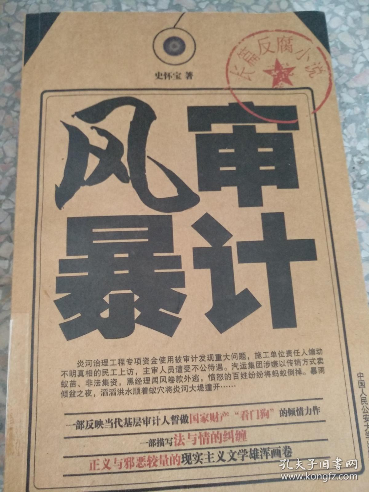 审计风暴9787565300561