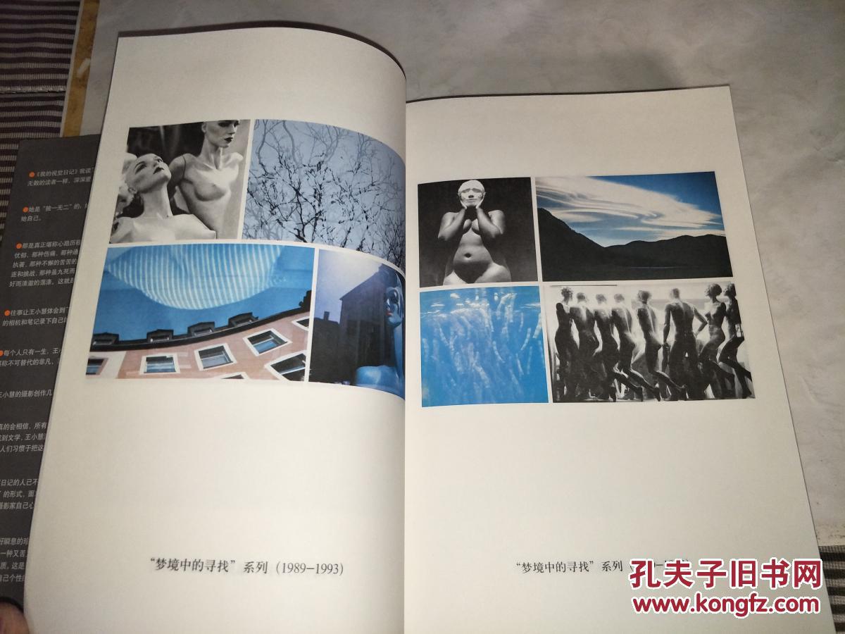 我的视觉日记(珍藏版)_王小慧 著_孔夫子旧书网