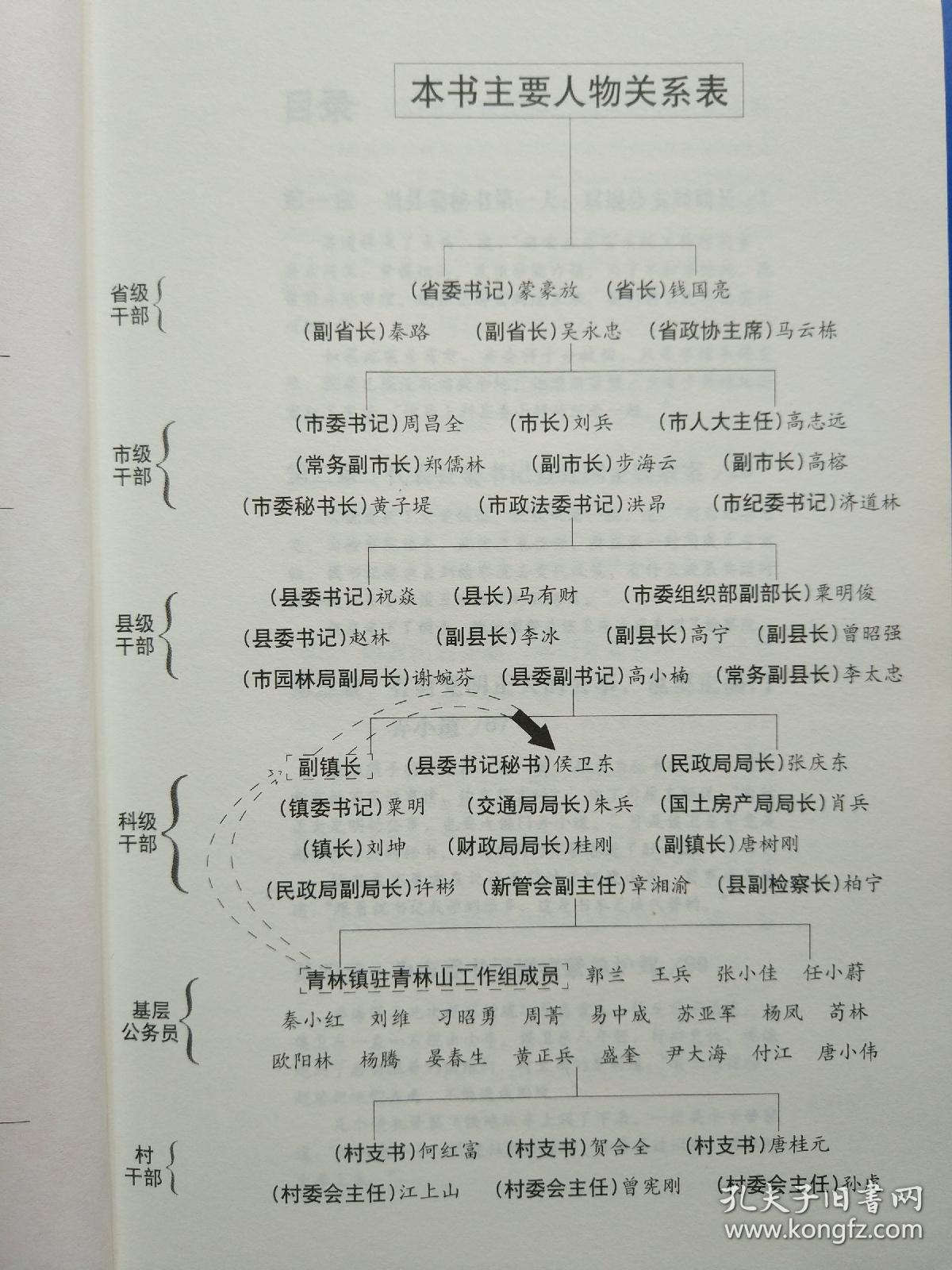 侯卫东官场笔记3逐层讲透村镇县市省官场现状的自传体小说