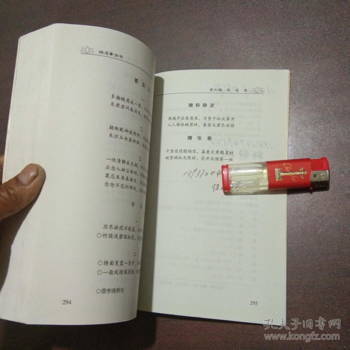 峨眉拳全书(大量配图练武功的武术书)