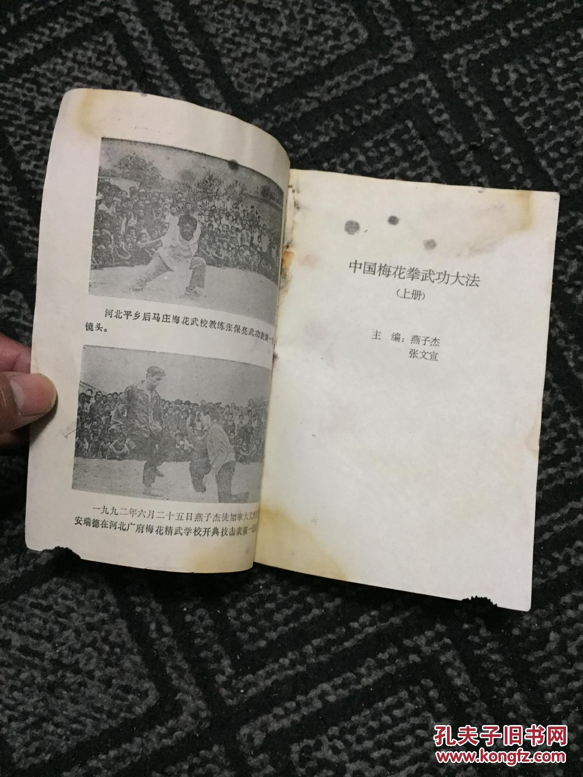 中国梅花拳武功全书