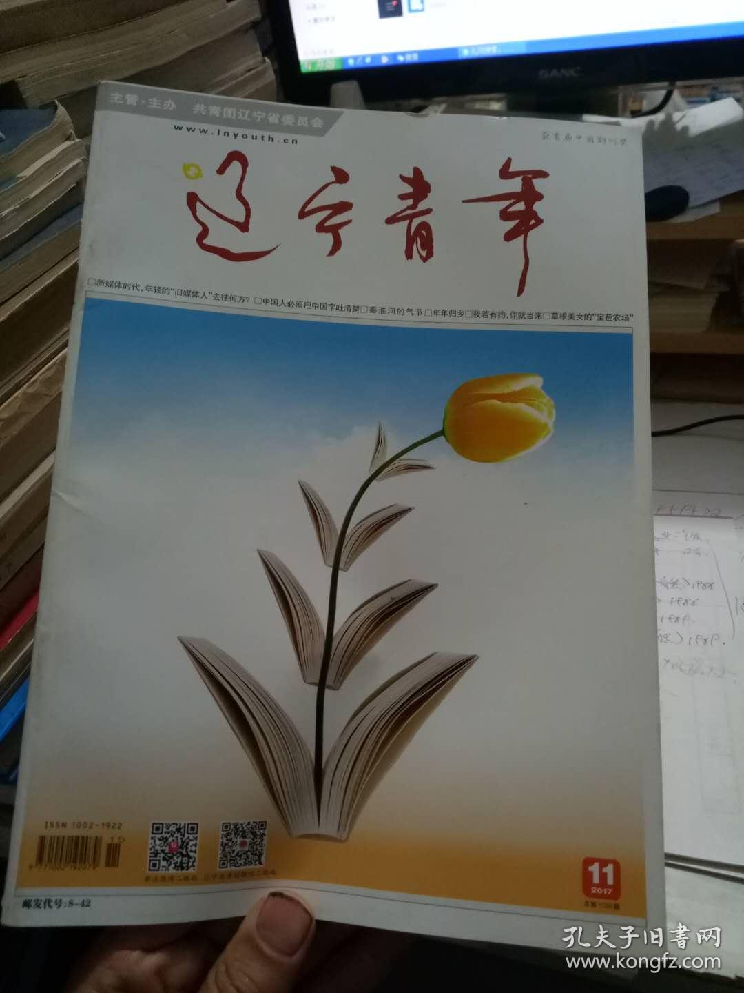 辽宁青年(2017年11期)_辽宁青年杂志社编_孔夫子旧书网