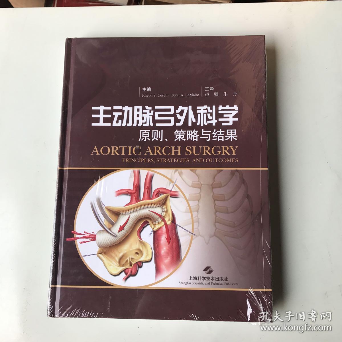 主动脉弓外科学:原则,策略与结果