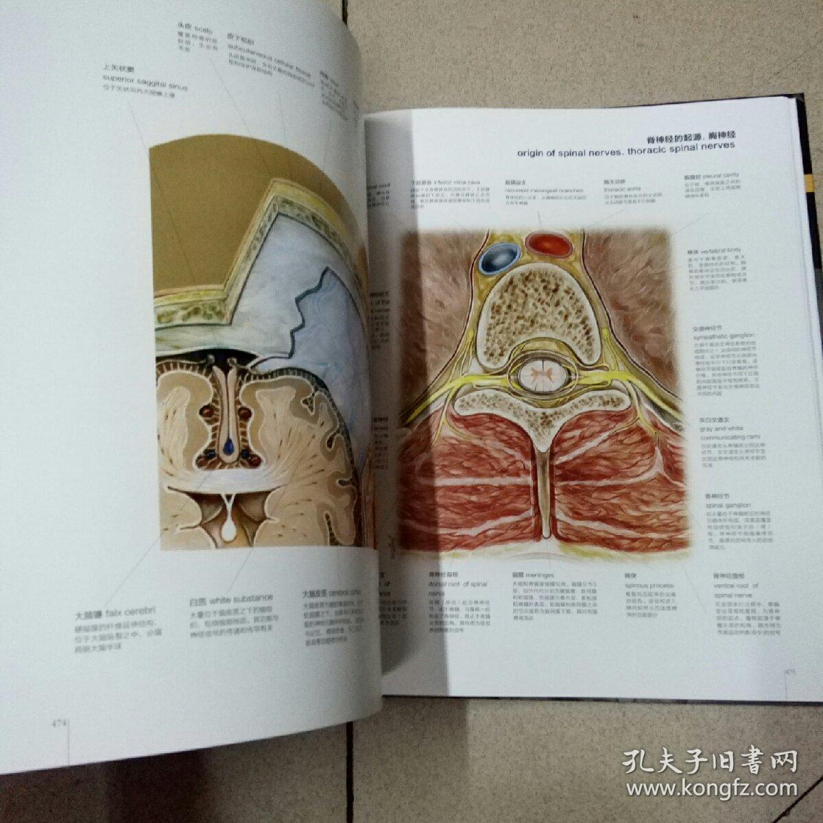 人体图谱解剖学组织学病理学第2版
