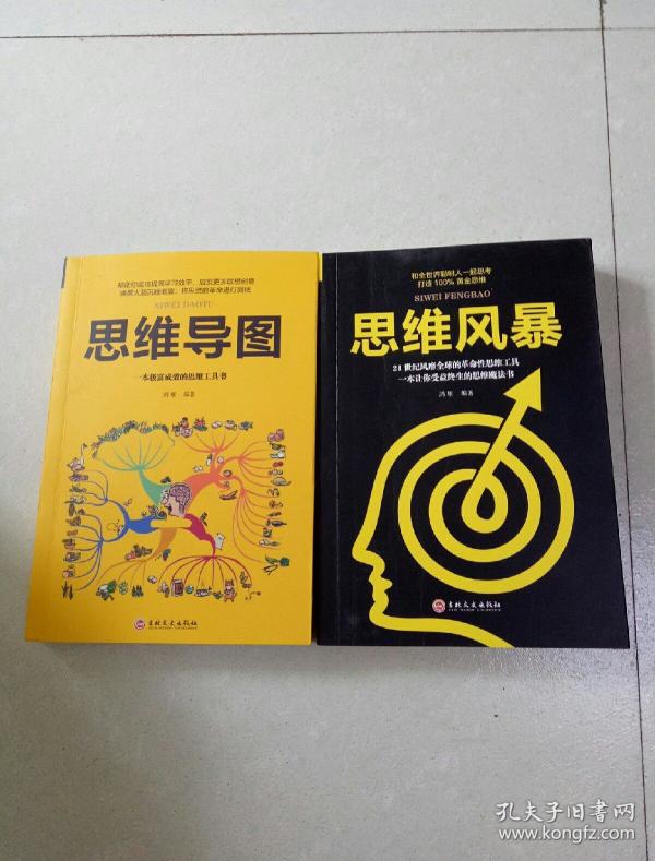 思维导图思维风暴两本合售鸿雁编著