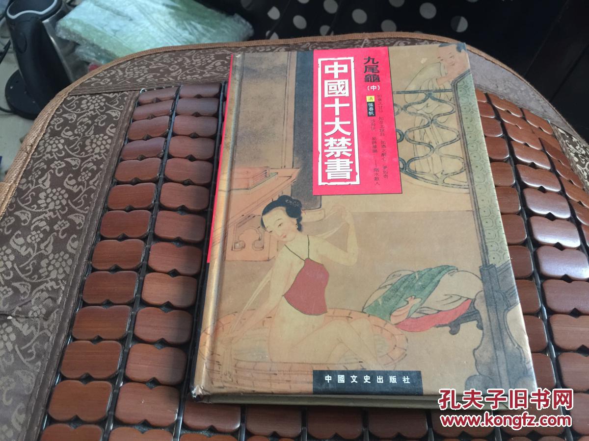 中国十大禁书:九尾龟 中下