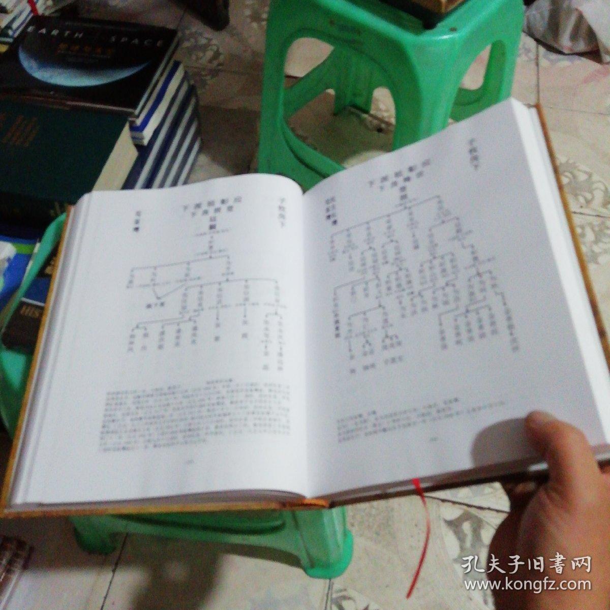 金氏族谱南川.试魁彭城郡记