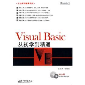Visual Basic从初学到精通