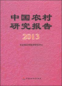 中国农村研究报告（2013年）