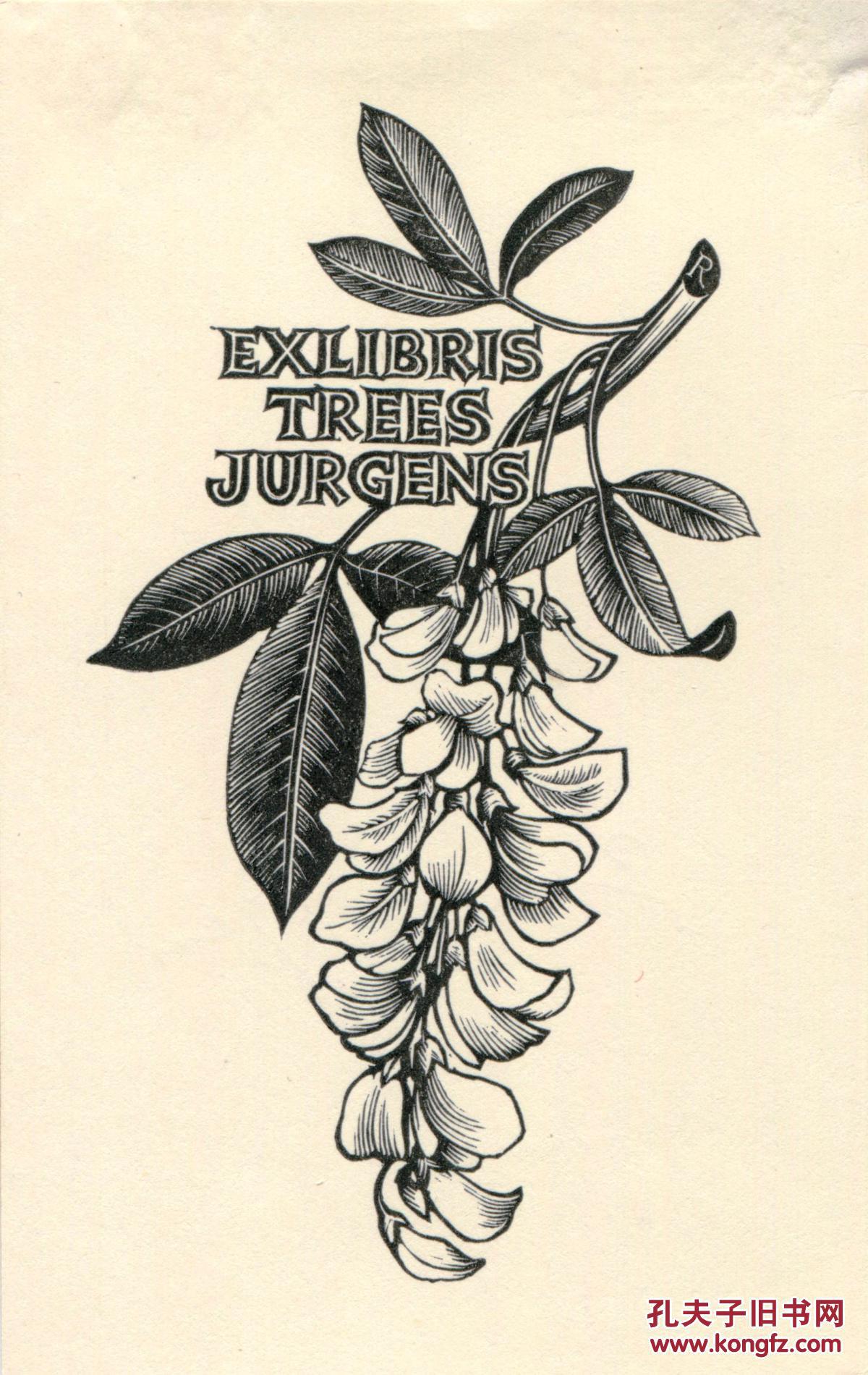 522-pam rueter 藏书票之金链花