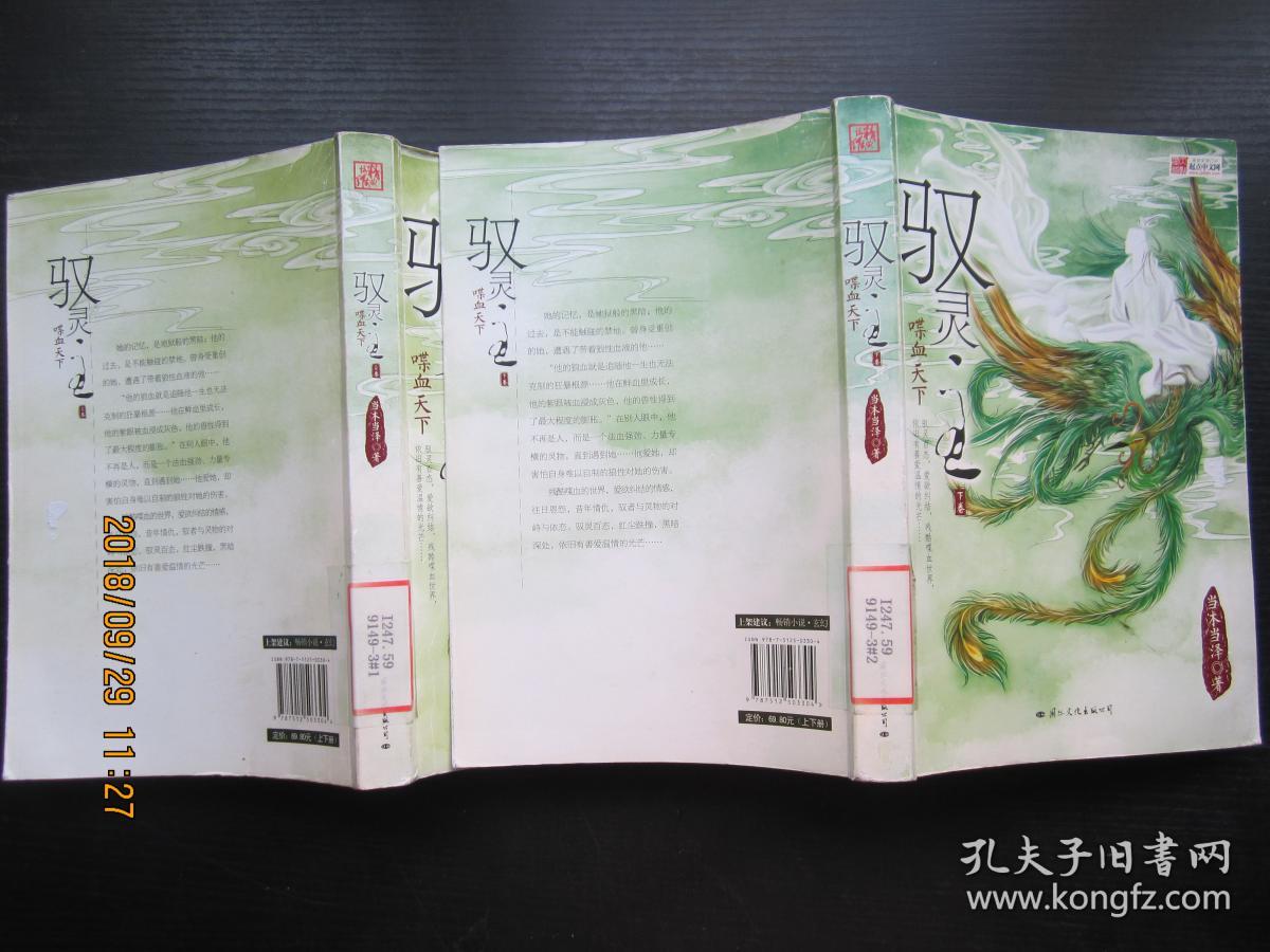 小说《驭灵主》的txt全集下载地址