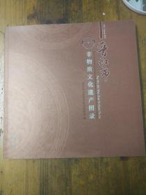 晋江市非物质文化遗产图录