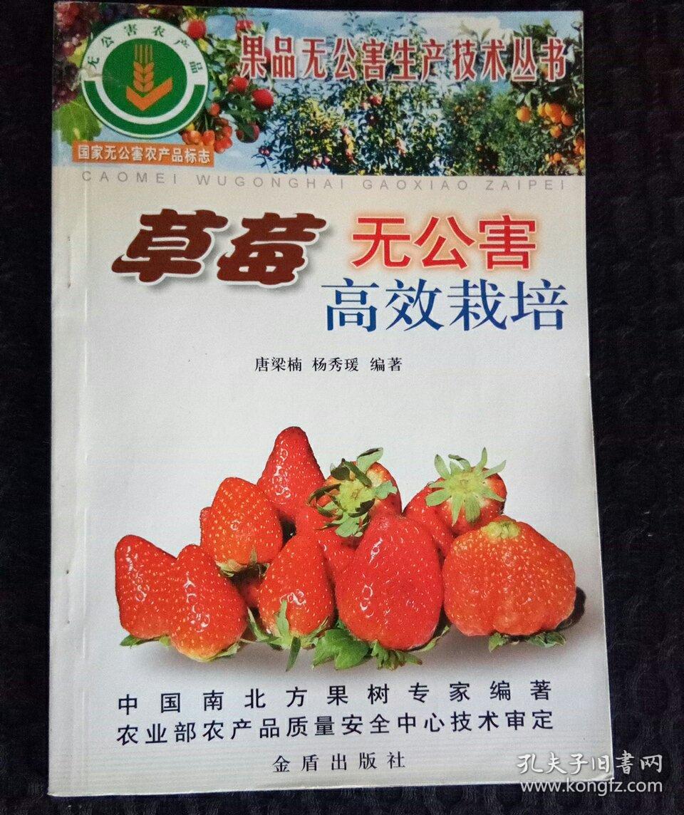 草莓   无公害   高效栽培