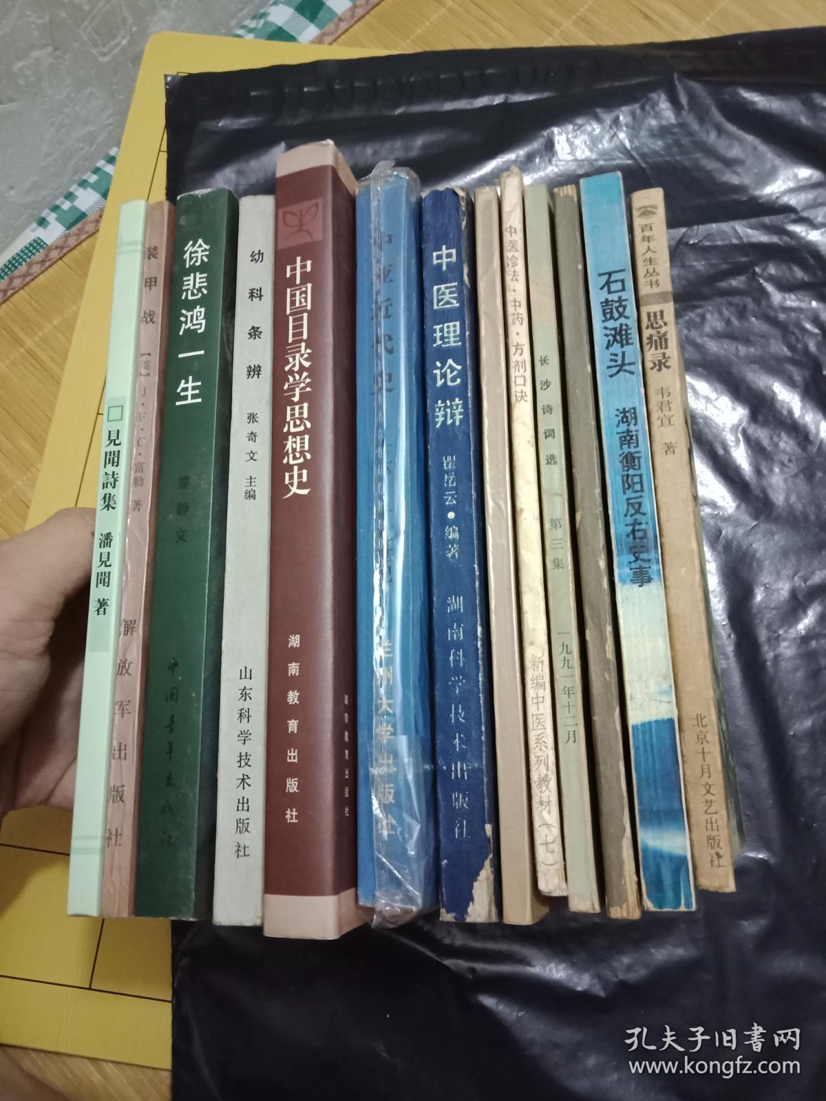 思痛录(百年人生丛书)--韦君宜作品