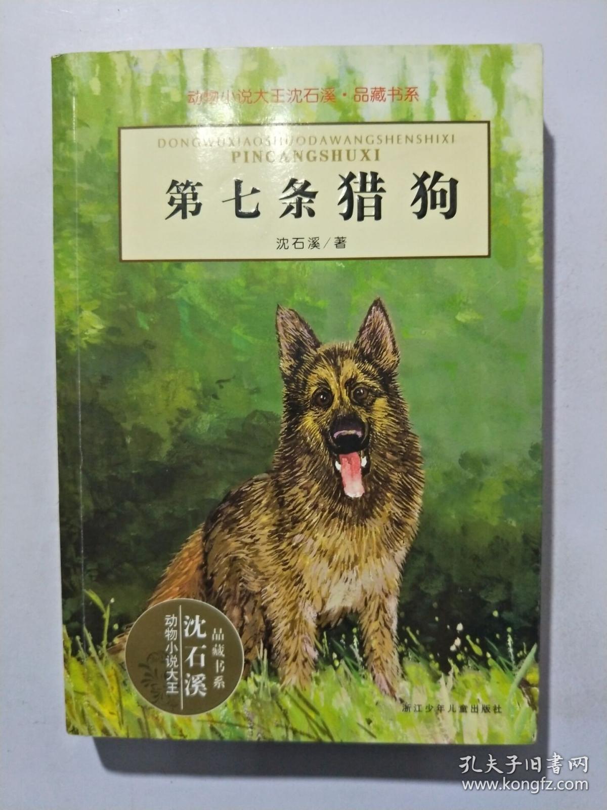 第七条猎狗手抄报