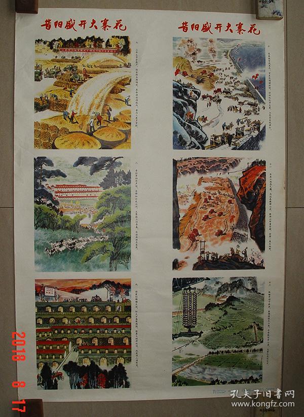 昔阳盛开大寨花宣传画第二张之二