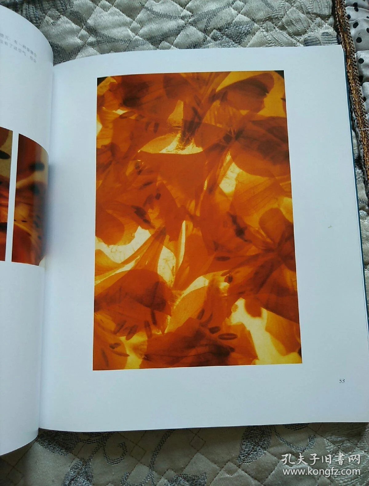 花之灵:王小慧观念摄影系列作品集