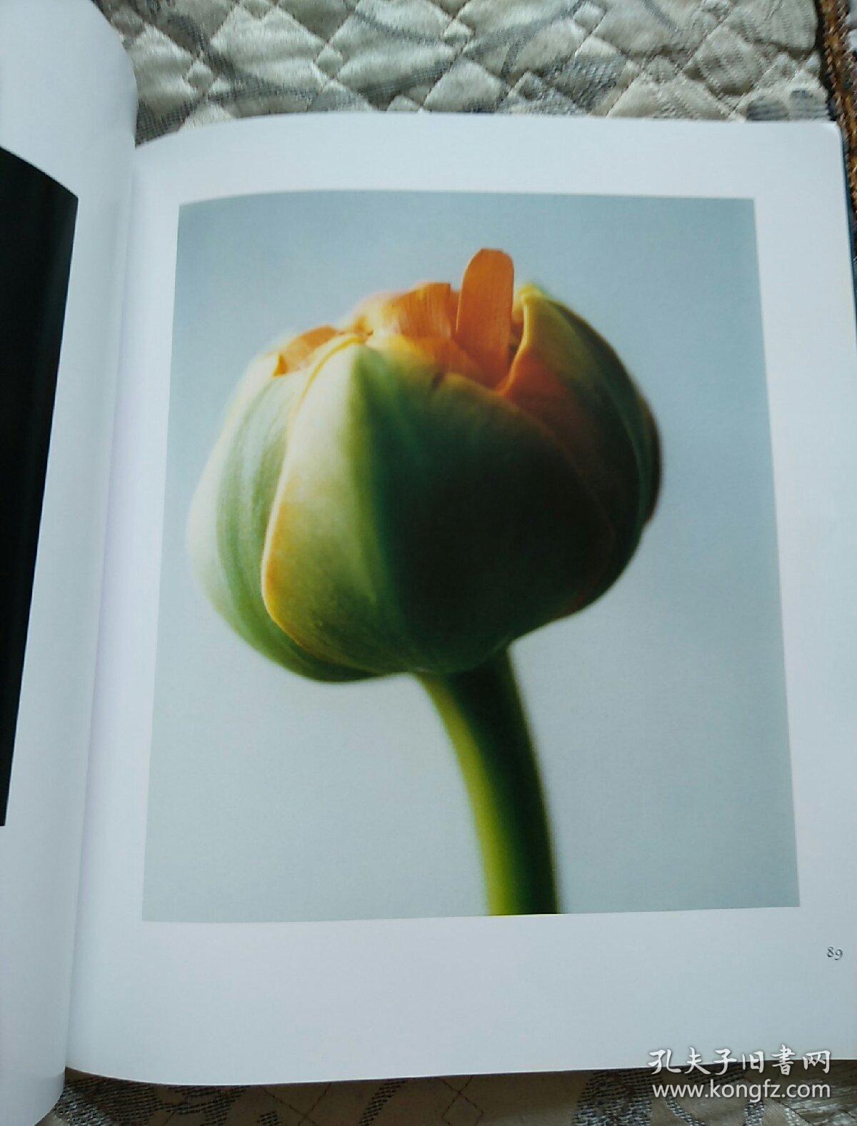 花之灵:王小慧观念摄影系列作品集