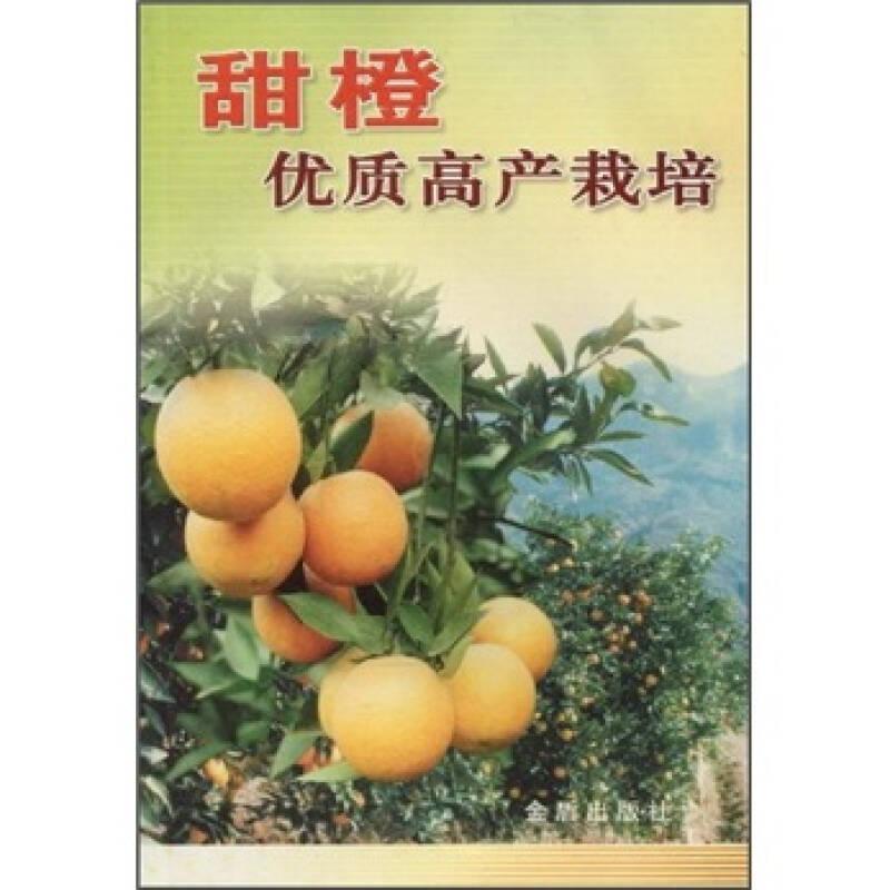 甜橙优质高产栽培
