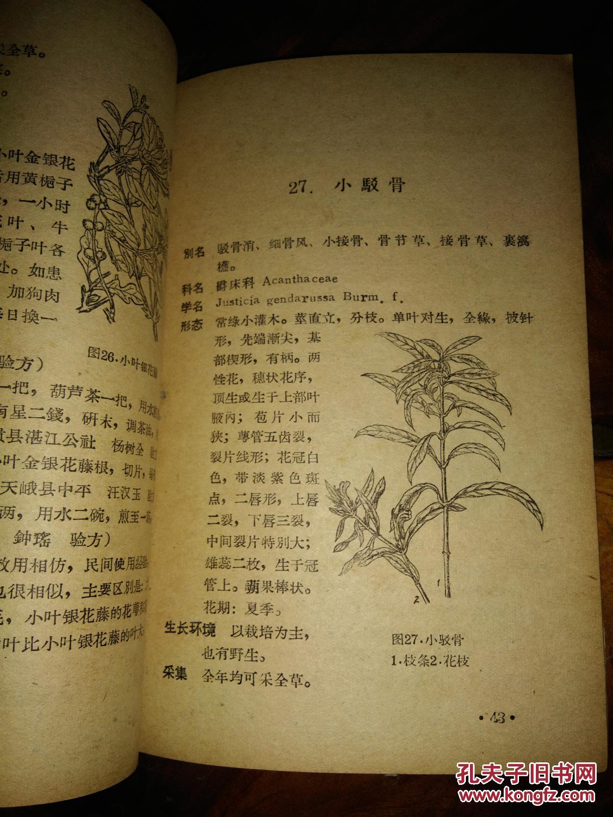 广西民间常用草药 第一集和第二集 合售