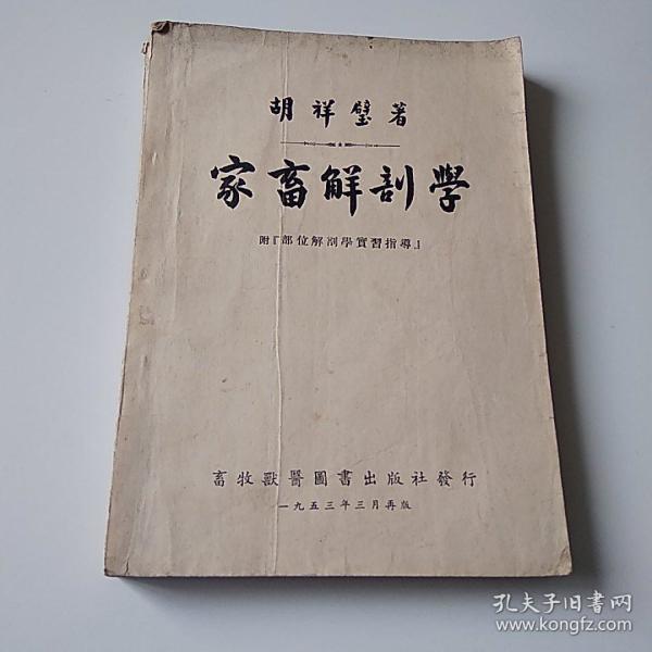 家畜解剖学 繁体