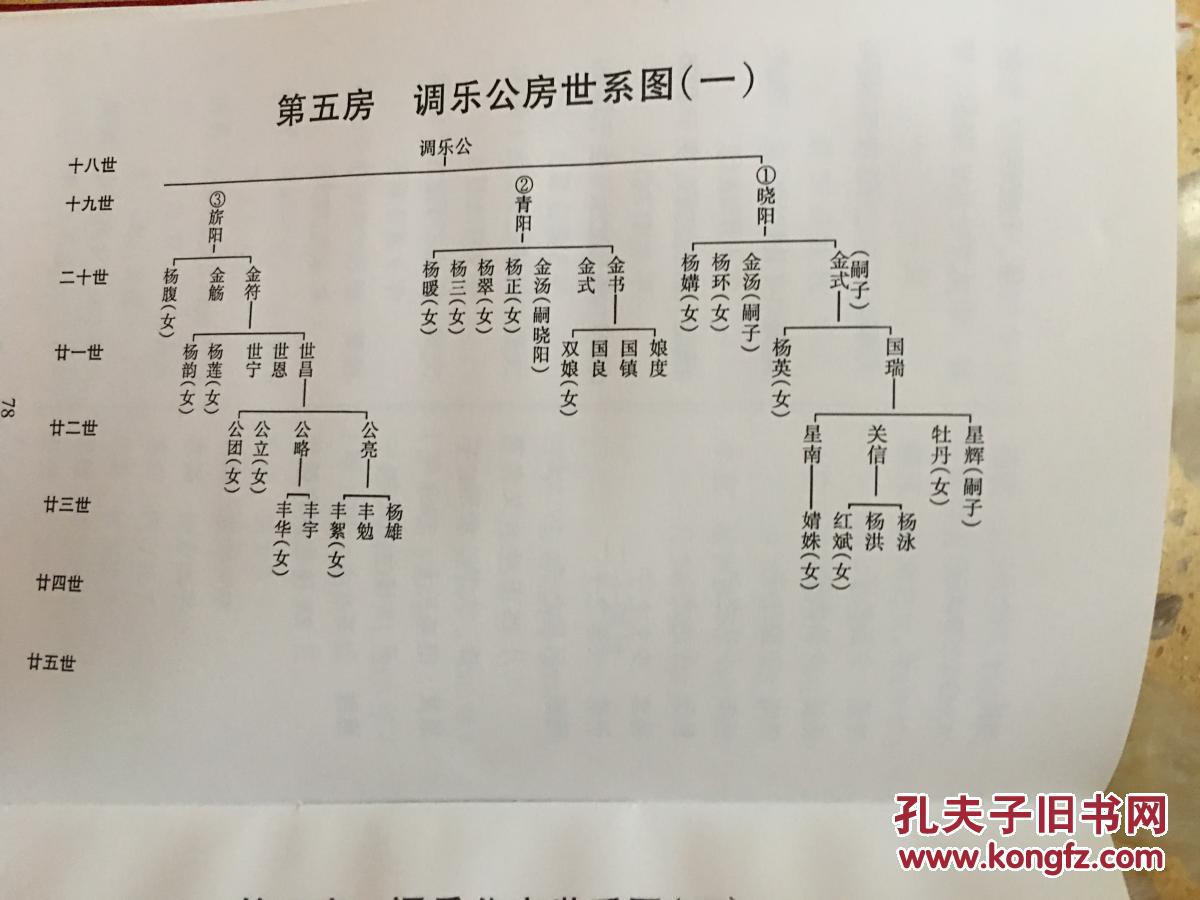 杨氏族谱(百侯)