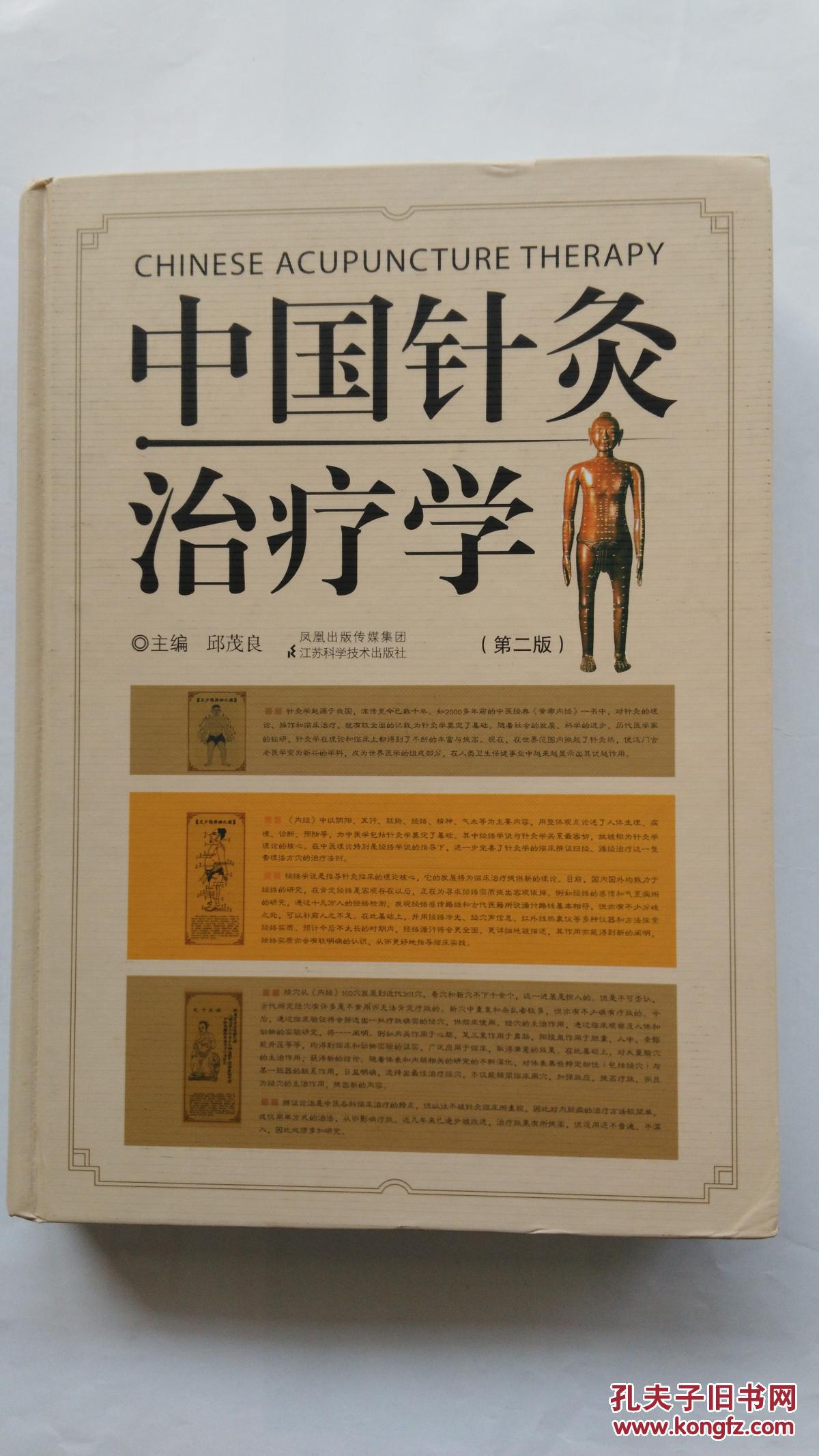 中国针灸治疗学(第2版)