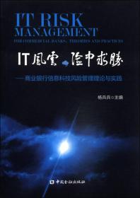 IT风云，险中求胜：商业银行信息科技风险管理理论与实践
