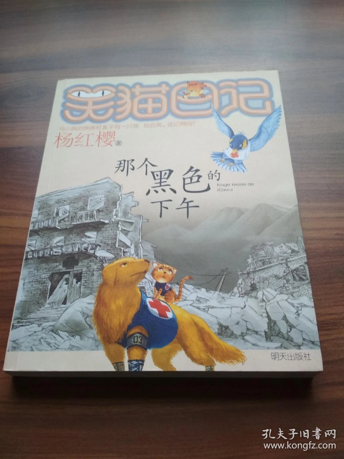 那个黑色的下午:笑猫日记11
