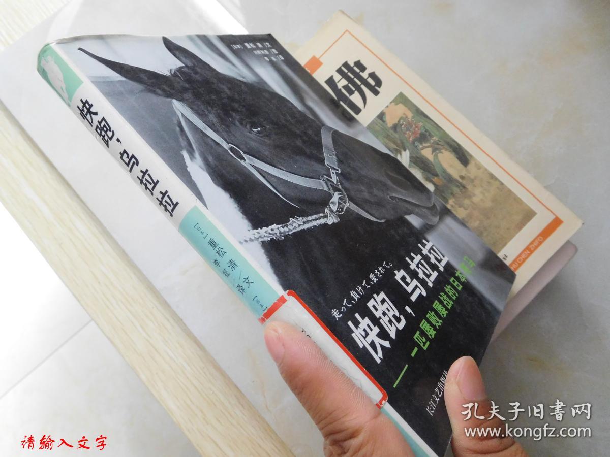 快跑,乌拉拉:一匹屡败屡战的日本赛马