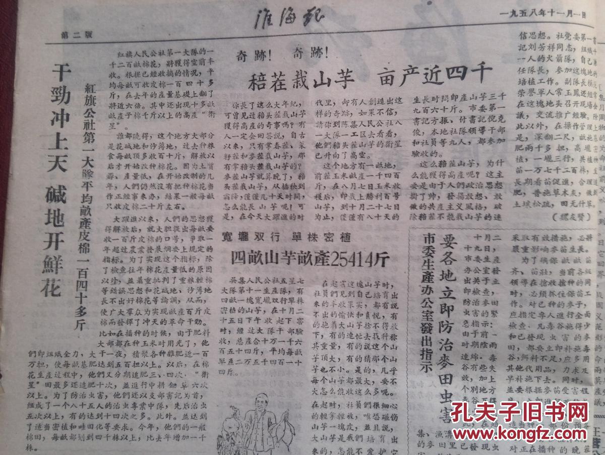 红旗公社亩产皮棉140多斤,奇迹陈集公社稖茬山芋亩产近四千斤,吴集