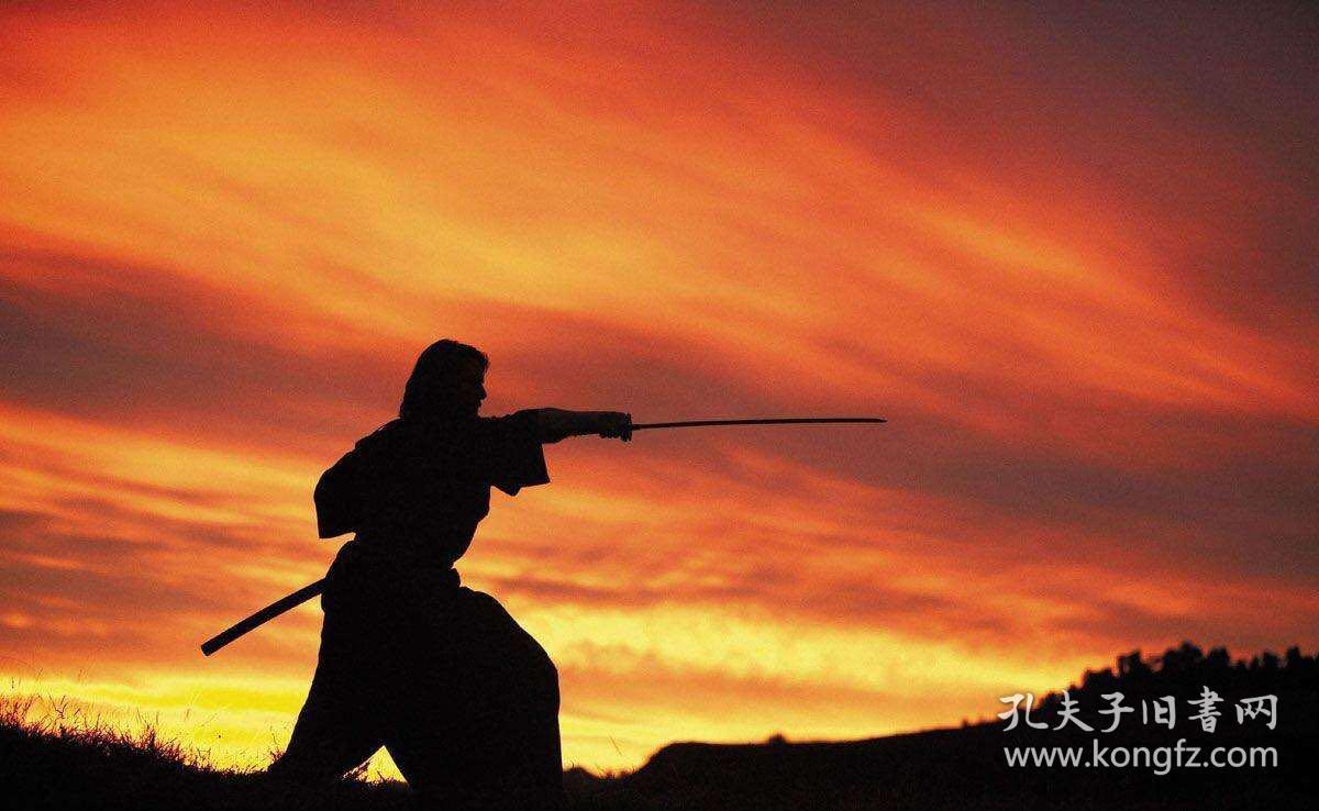电影最后的武士vcd正版碟片