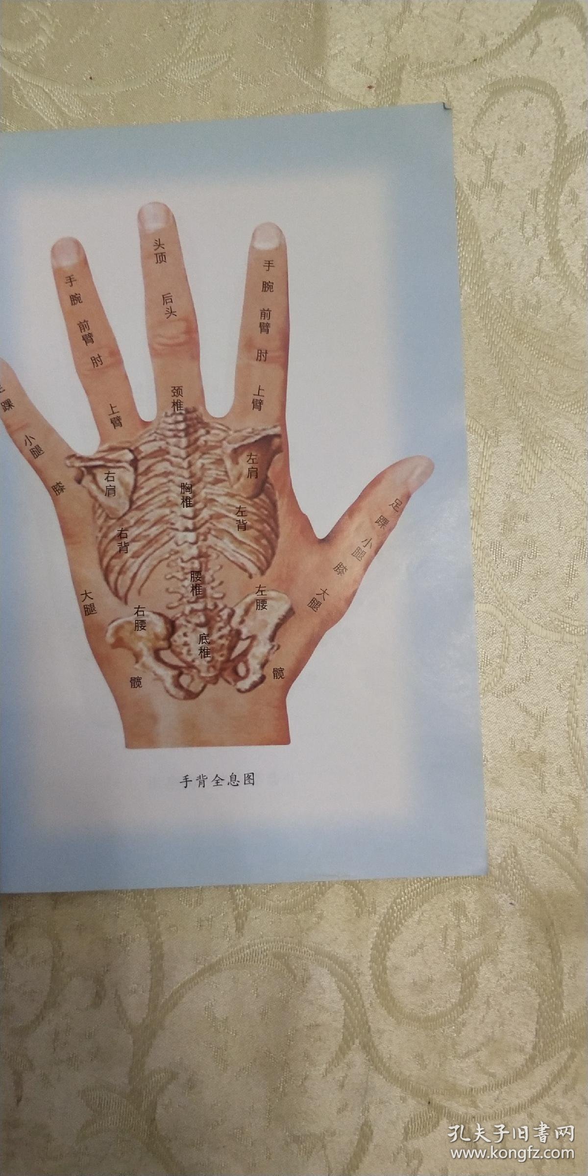 观手知健康:经络全息手诊