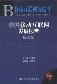 移动互联网蓝皮书：中国移动互联网发展报告（2013）