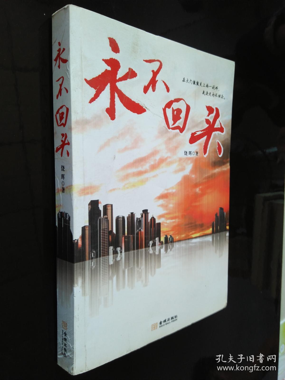 永不回头 饶晖 著(中国当代长篇小说)