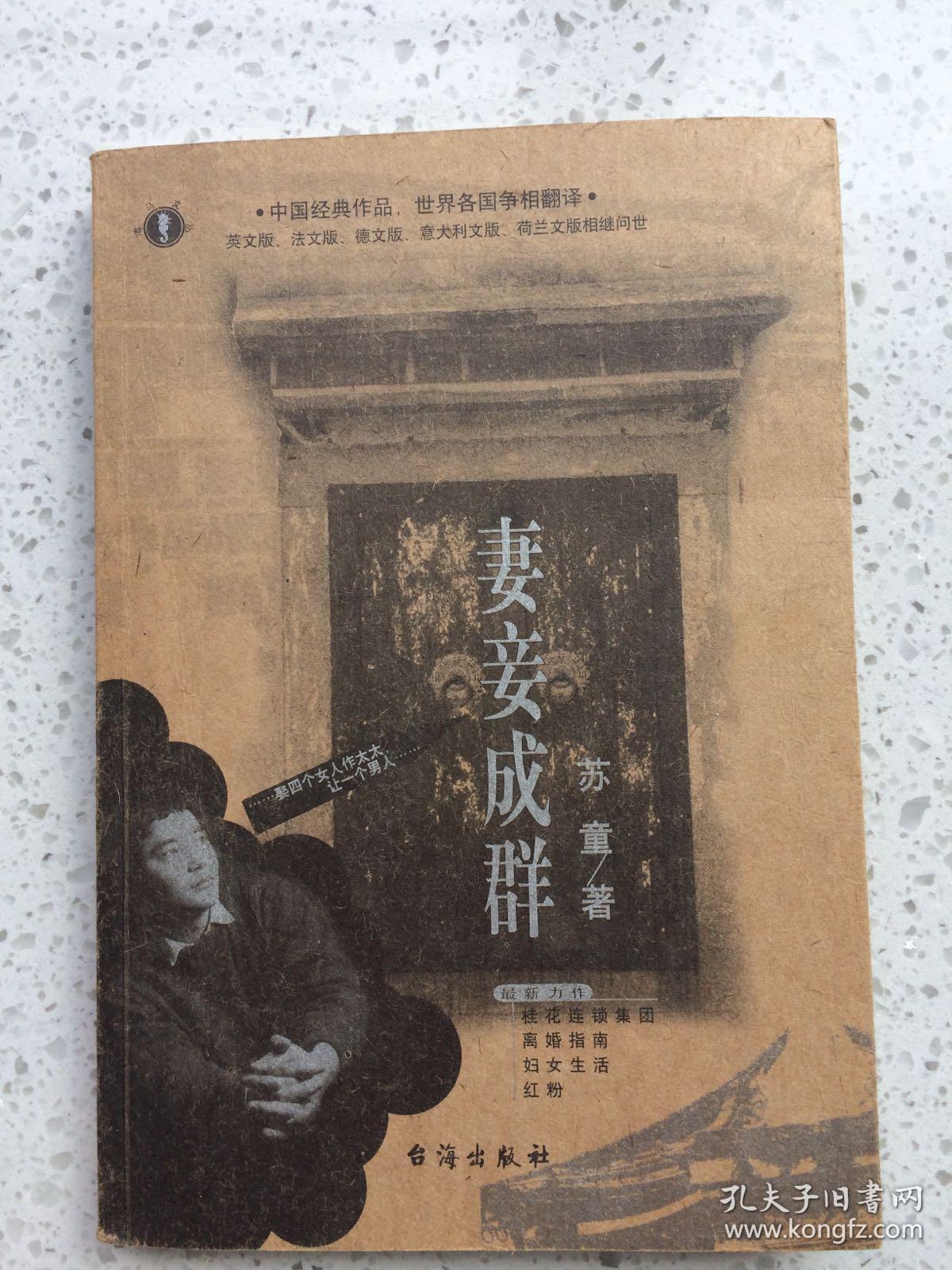妻妾成群(苏童)_简介_价格_文学书籍_孔网