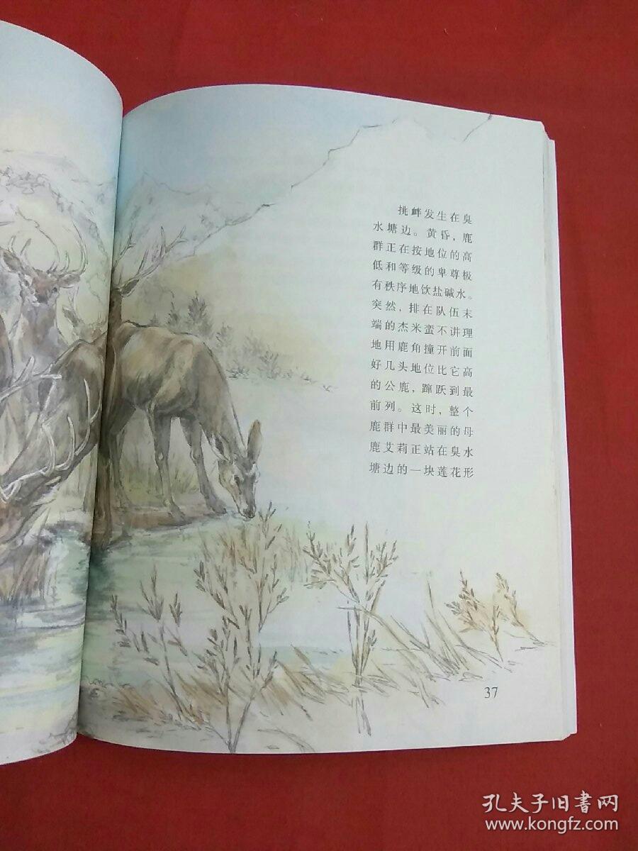 沈石溪画本第一辑老鹿王哈克