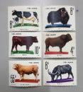 T63畜牧业牛邮票6枚一套