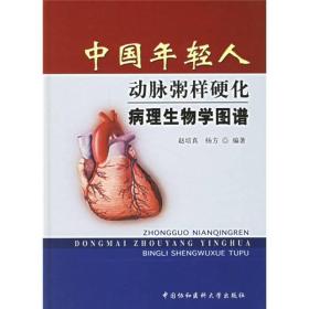 中国年轻人动脉粥样硬化病理生物学图谱