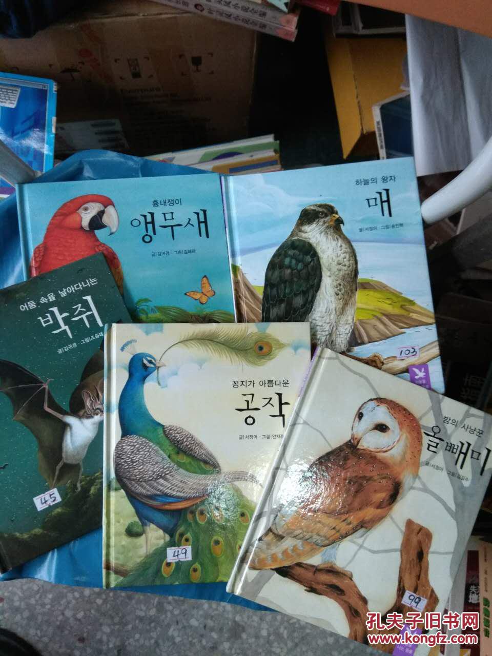 空中动物系列838189945本合售猫头鹰孔雀蝙蝠鹰鹦鹉韩语绘本