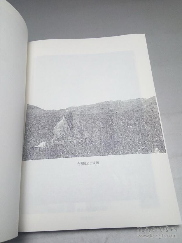 金刚密乘大圆满突破轮回之道丹贝旺旭仁波切著述慈诚达瓦译宁玛派大